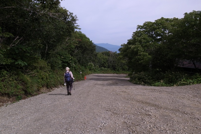 樽前山  （９３２ｍ峰～東山）  _a0270291_22283692.jpg