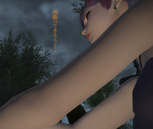 b0296791_1213679.png