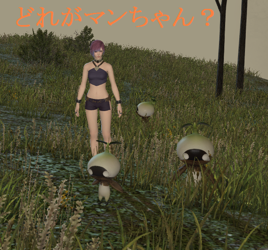 b0296791_122340100.png