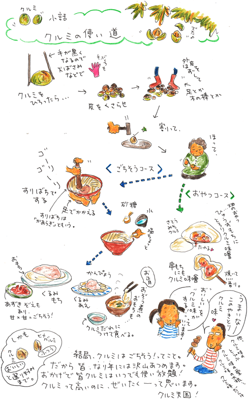 5クルミの裏側_f0236291_8192058.gif
