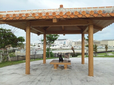 a0118493_2247587.jpg