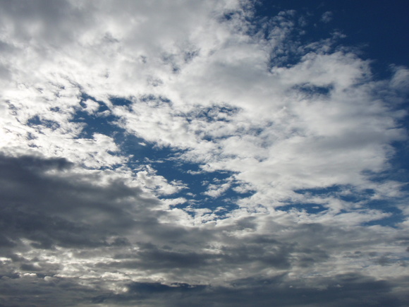 c0177497_103118.jpg