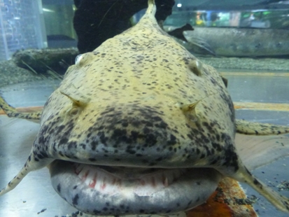 オンボードカメラ_e0077899_1653412.jpg