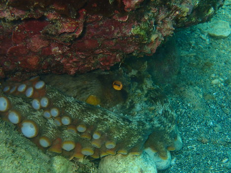 e0115199_22351814.jpg