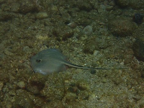 e0115199_22352937.jpg