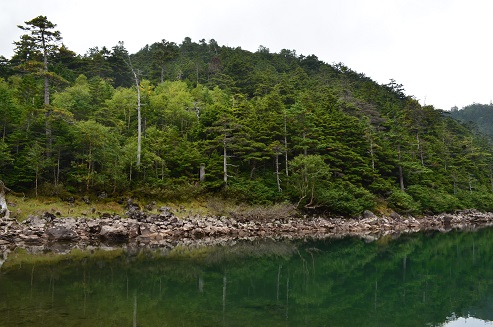 a0275900_9262887.jpg