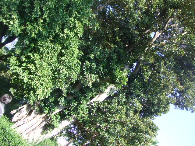 f0076001_21499.jpg
