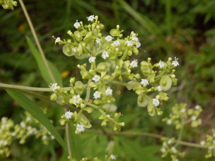 f0219710_13404936.jpg
