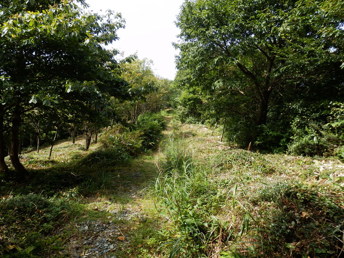 f0219710_13435080.jpg