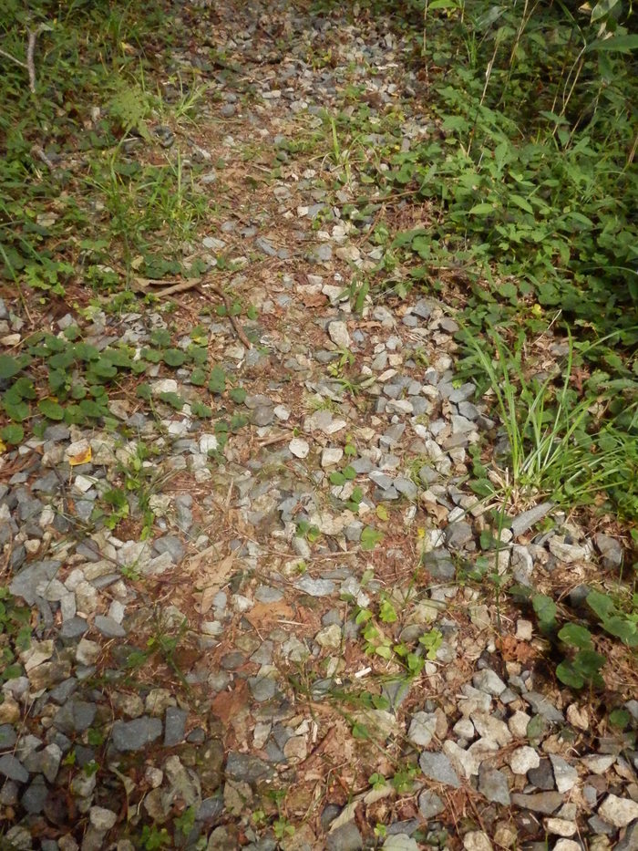 f0219710_13451567.jpg