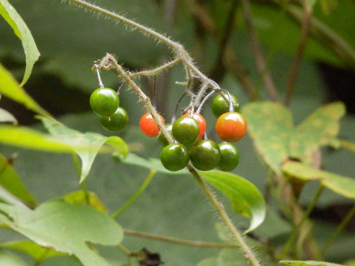 f0219710_13494089.jpg
