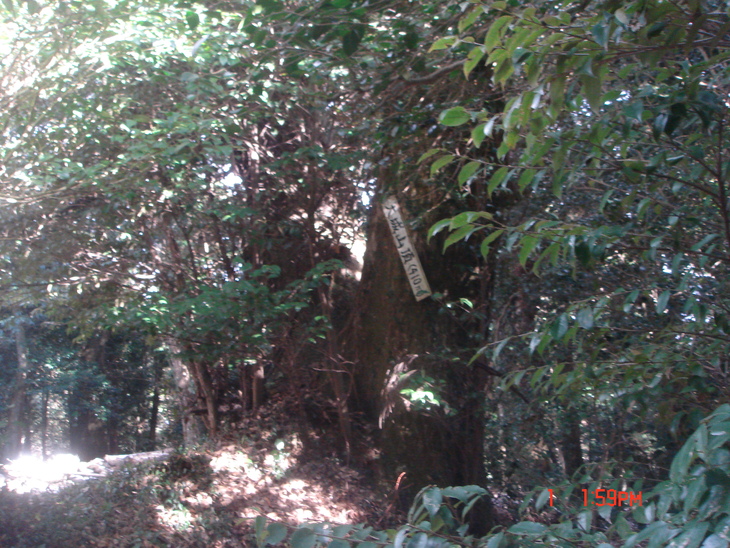 b0291016_2143881.jpg