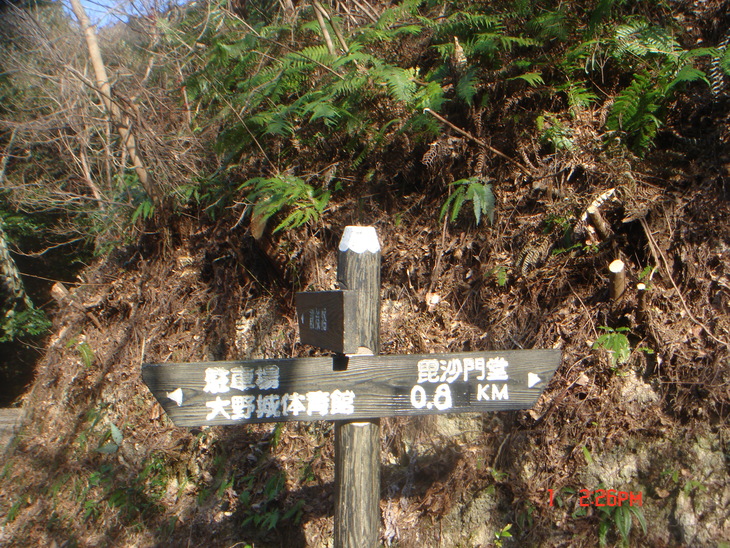 b0291016_2161241.jpg