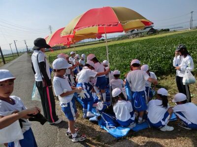 北新庄小学校様の枝豆収穫体験☆_e0061225_1431633.jpg