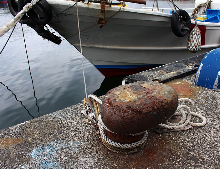 e0108126_13452898.jpg