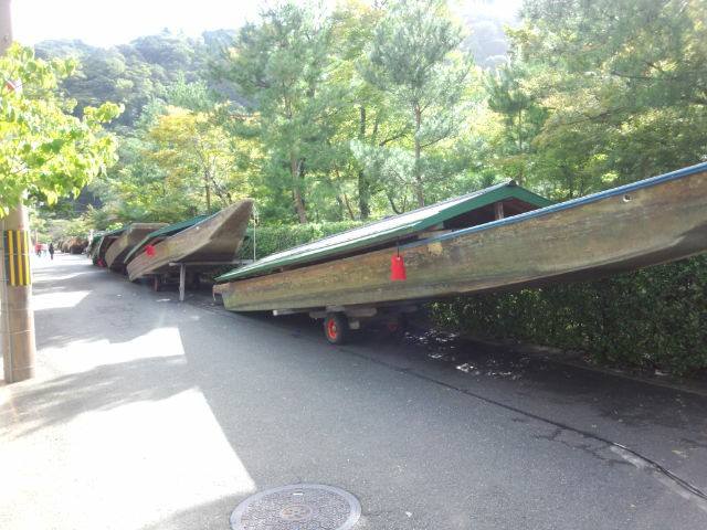 台風後の嵐山 _a0197730_18132214.jpg