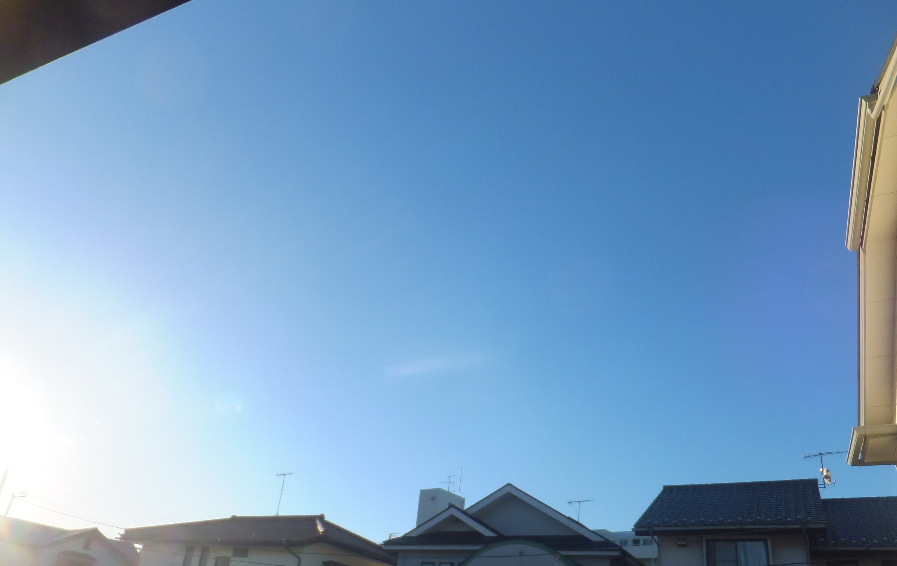 空は秋...夏の名残のやさが..._b0137932_65153100.jpg