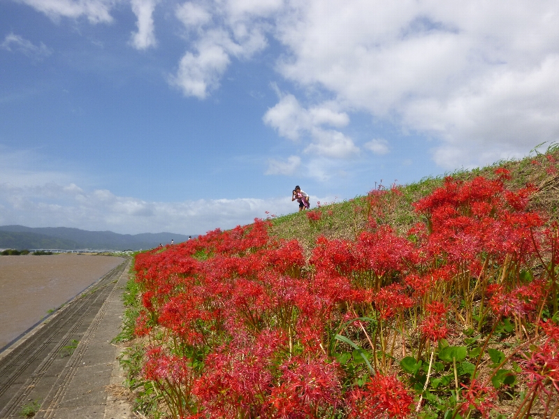 ７年ぶりの沐浴_c0113733_0194879.jpg