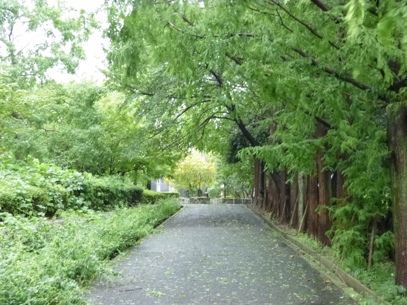 c0113733_095662.jpg