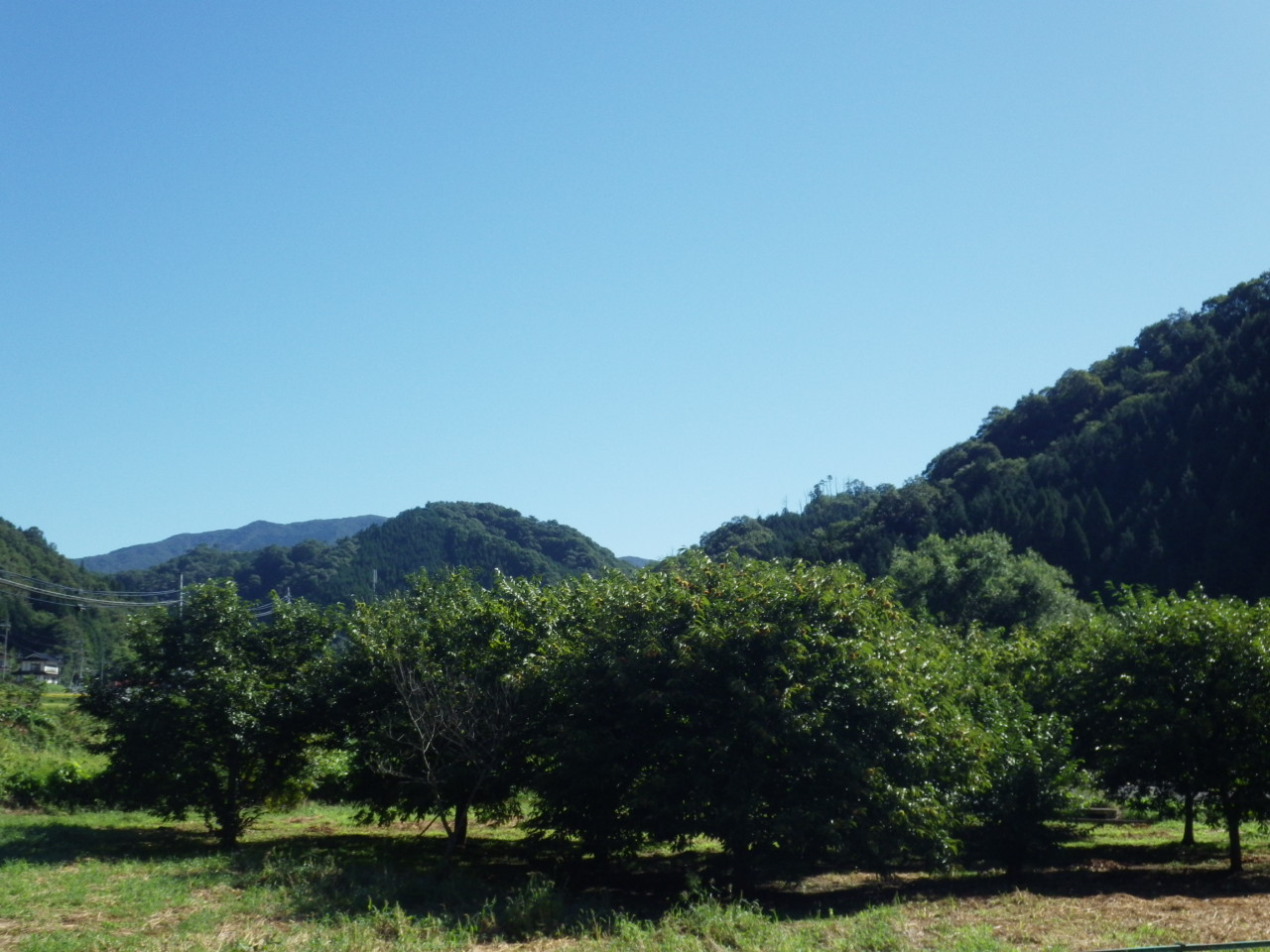 c0300035_931483.jpg