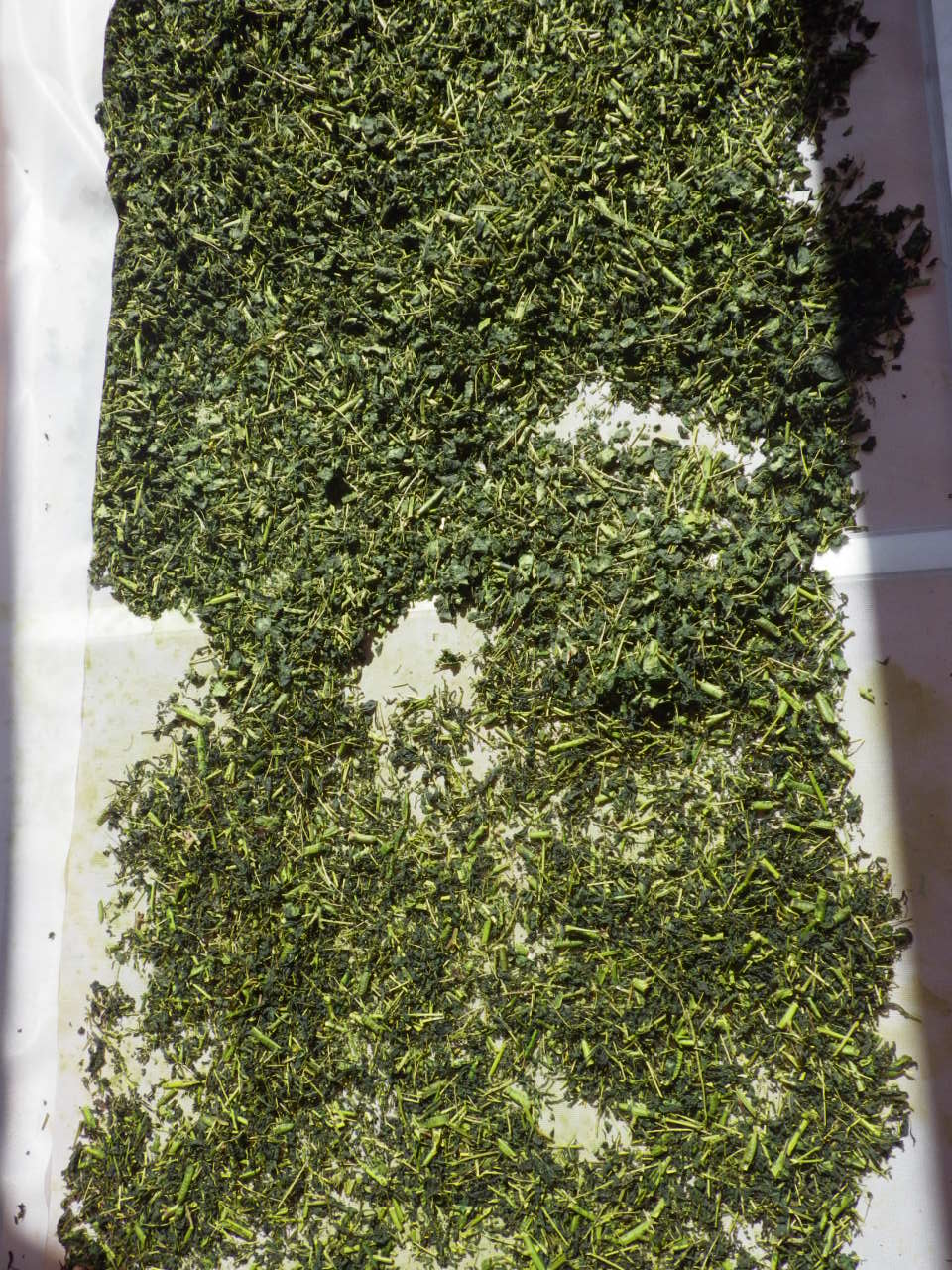 c0300035_9324789.jpg