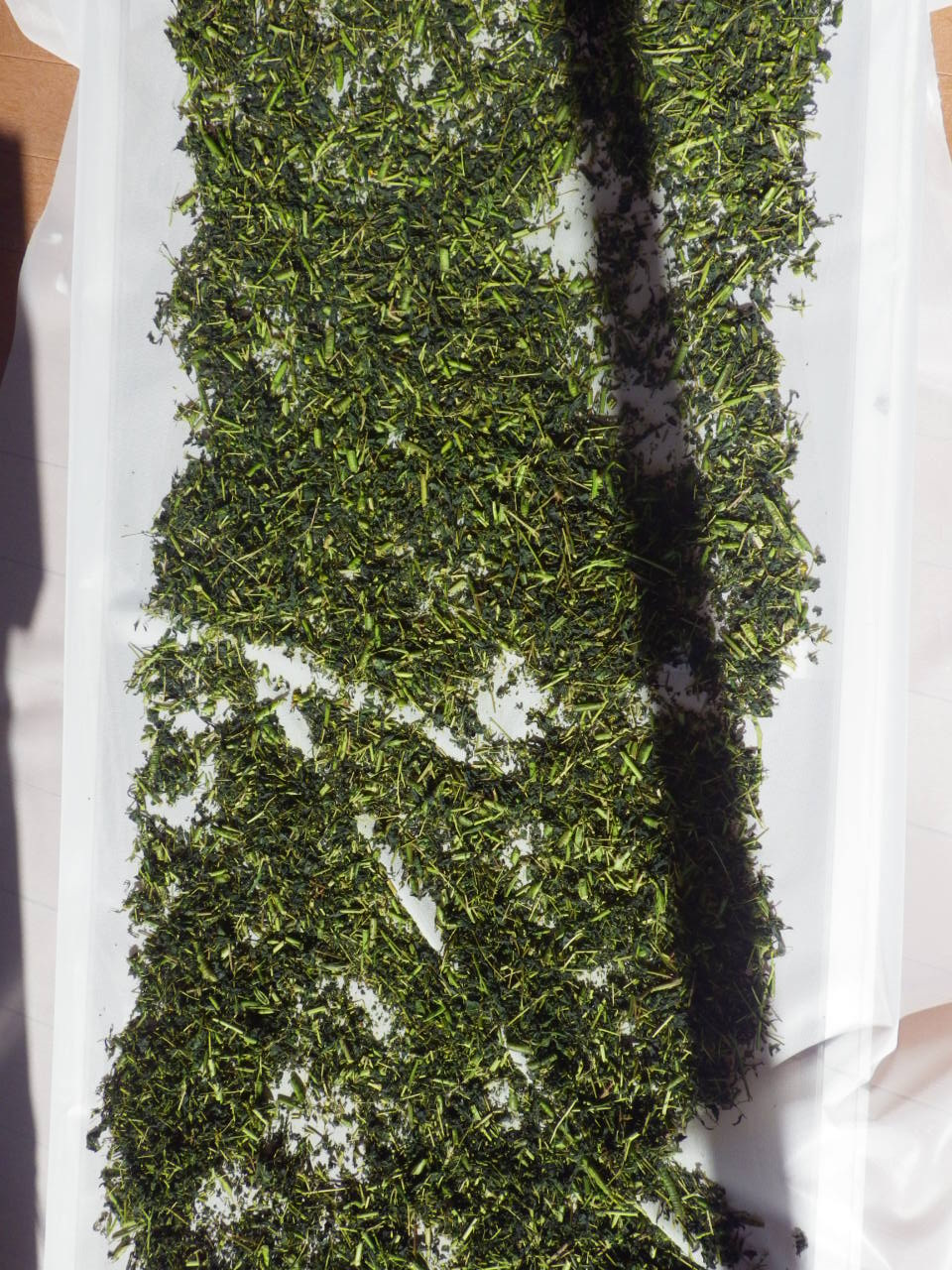 c0300035_933266.jpg
