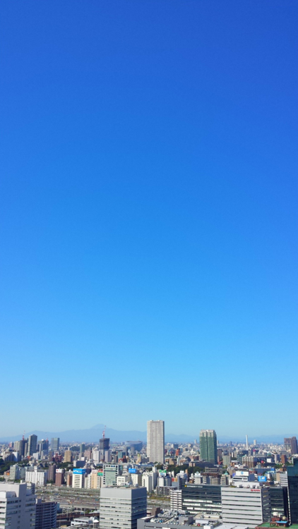 e0171737_10185716.png