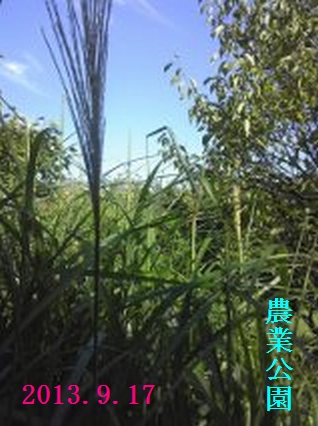 f0002750_2012247.jpg
