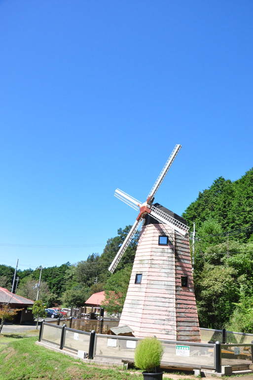 b0214652_16483649.jpg