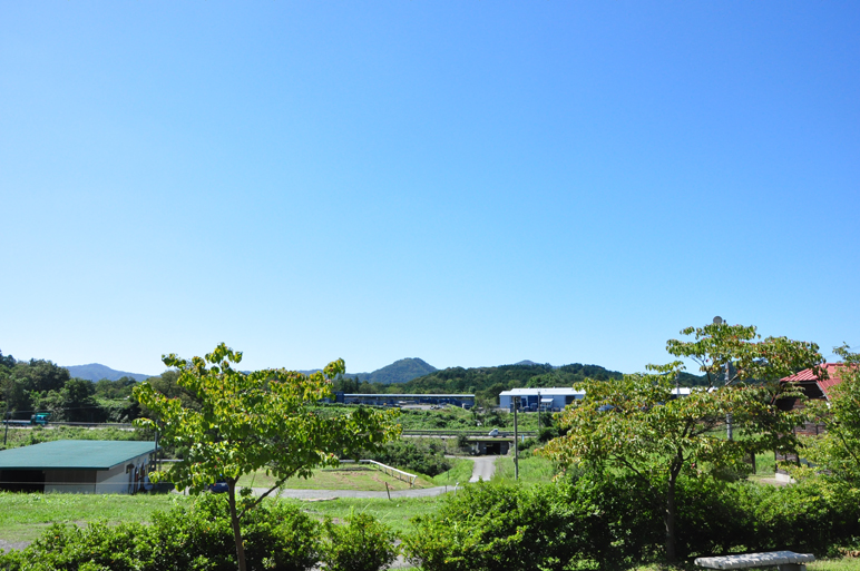 b0214652_16485264.jpg