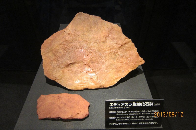 f0044056_655071.jpg