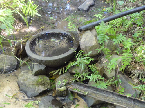 c0108460_20544758.jpg