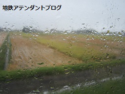 週末報告!_a0243562_16401765.jpg