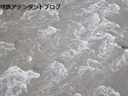 週末報告!_a0243562_16421428.jpg