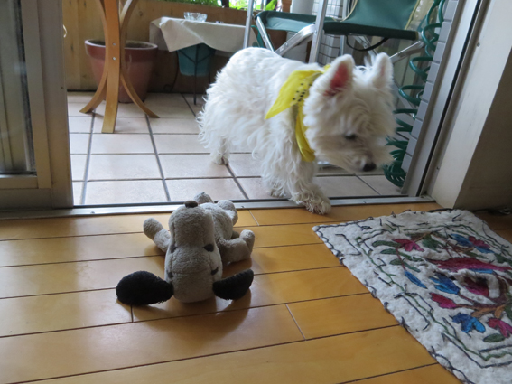 大人。_b0107163_1533874.jpg