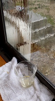 台風過ぎて。_e0168583_750197.jpg
