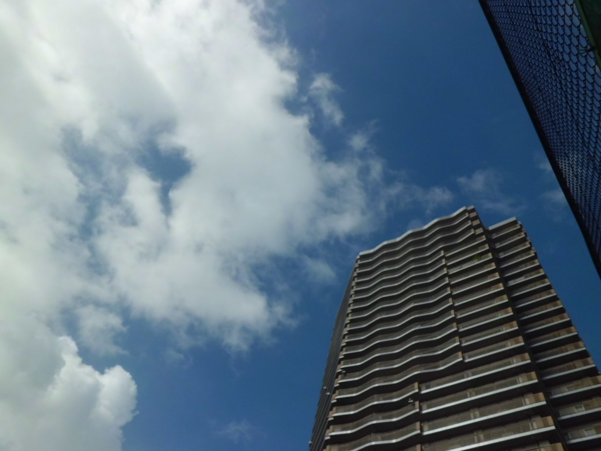 b0138985_16493393.jpg