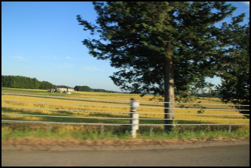 d0154685_19584236.jpg