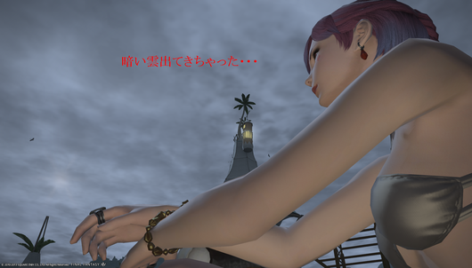 b0296791_20142825.png