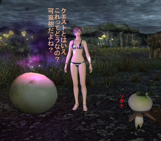 b0296791_20512478.png