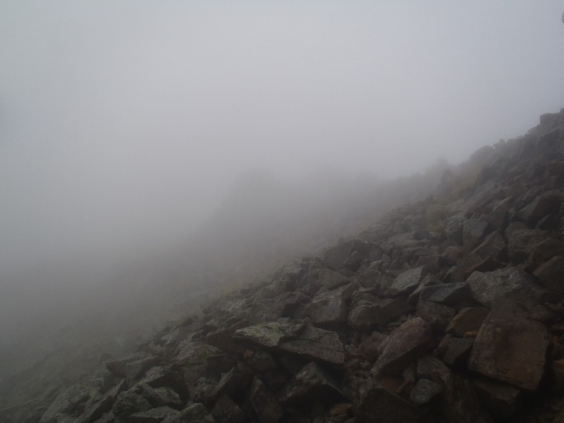 c0147398_0231648.jpg