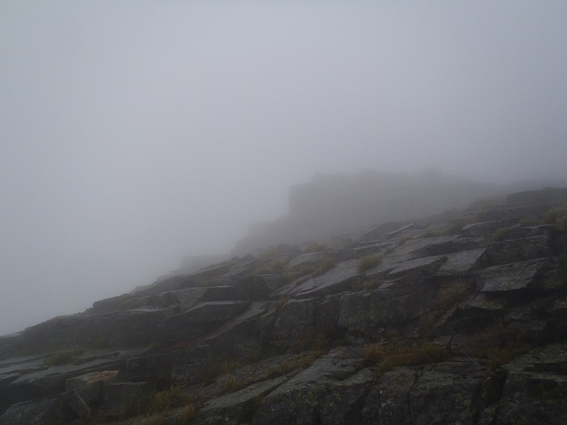 c0147398_0311218.jpg