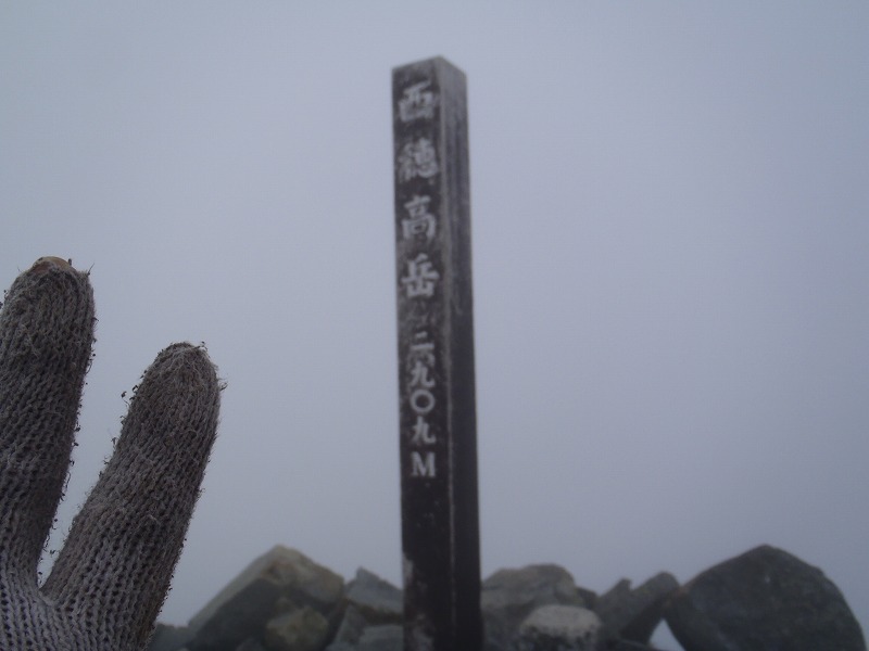 c0147398_032657.jpg