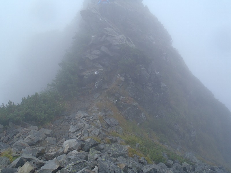 c0147398_033067.jpg