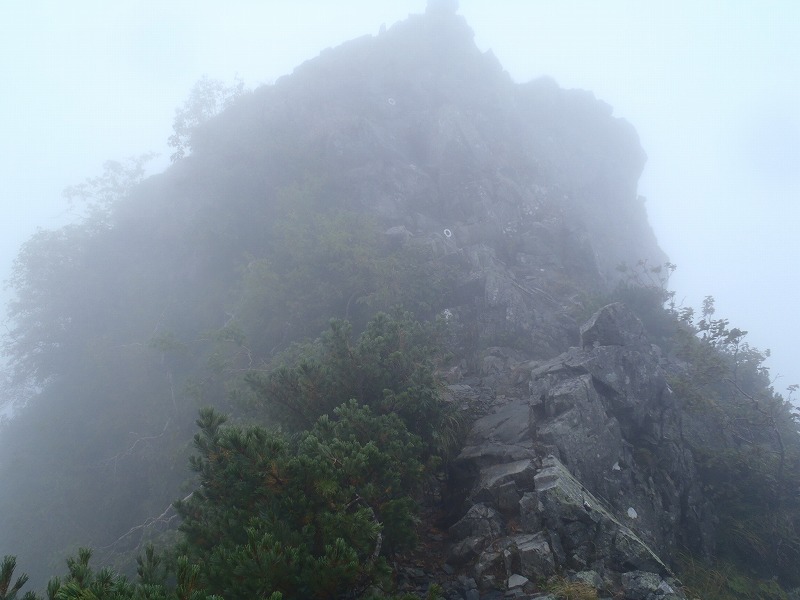 c0147398_0331166.jpg