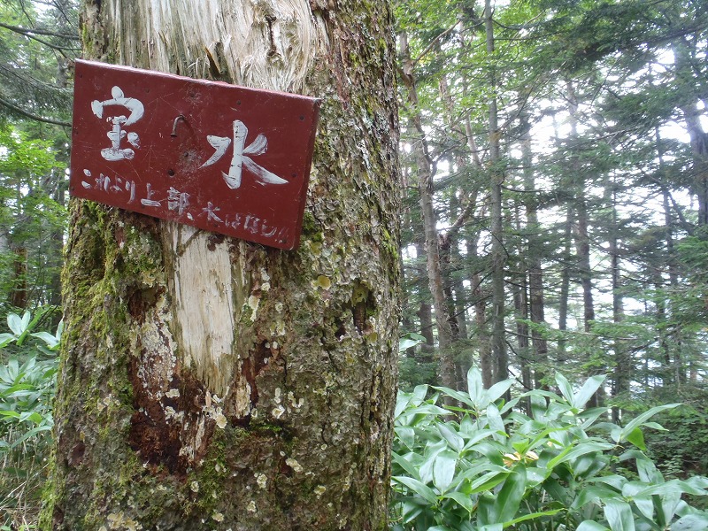 c0147398_0344081.jpg