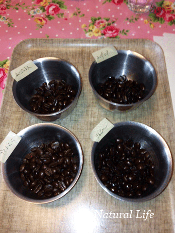 b0162000_1129714.gif