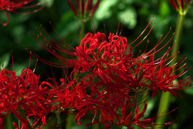 a0263109_2041240.jpg