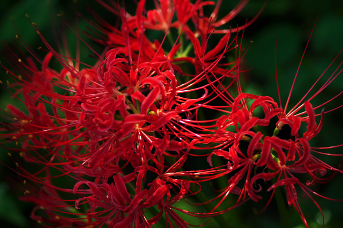 a0263109_2042528.jpg