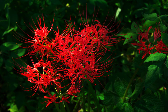 a0263109_20512056.jpg